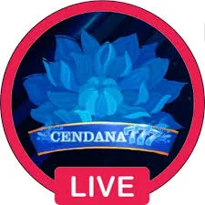 CENDANA777 - Strategi Cerdas untuk Menangkan Pertarungan